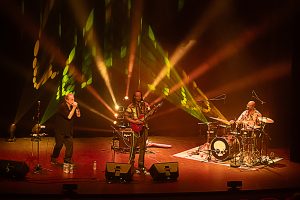 visions d'afrique- trio soba